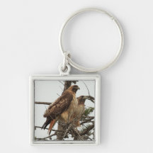 Hawk Keychain