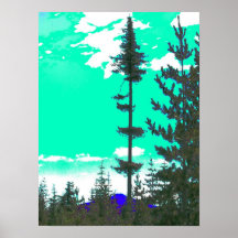 Hawk Mountain Poster