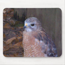 Hawk Mouse Mat