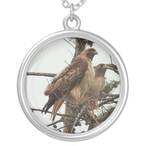 Hawk Necklace 1