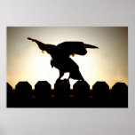 Hawk On Fence Poster