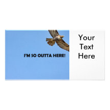 Hawk Photo Photo Greeting Card