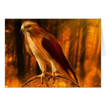 Hawk Spirit Note Card