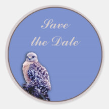 Hawk Sticker