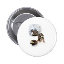Hawks Pinback Buttons