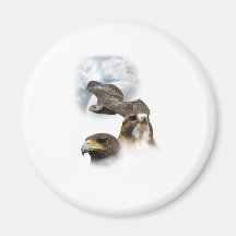 Hawks Refrigerator Magnet