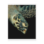 Hawksbill Angel Post Card