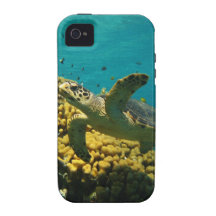 Hawksbill Sea Turtle iPhone 4/4S Cases