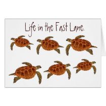 Hawksbill Turtles card