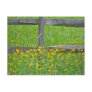 Hawkweed at Split Rail Fence Matching Items Post Card