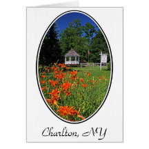Hawley Park, Charlton, NY Greeting Card