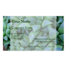 Haworthia Succulent Plant Business Cards
