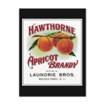 Hawthorne Aprilcot Brandy Post Cards