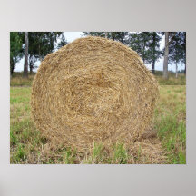Hay bale in a field posters
