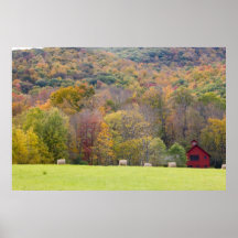 Hay bales and fall foliage, on a farm in print