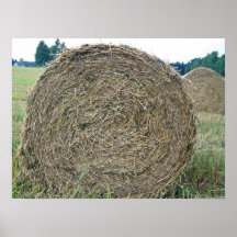 Hay bales in a field under the sky print