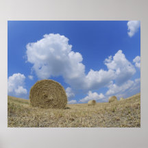 Hay Bales in Field, Pienza, Val d'Orcia, Siena Poster
