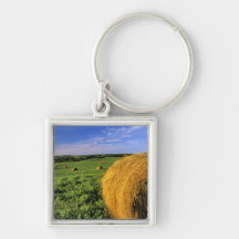Hay Bales near Bottineau North Dakota Keychain