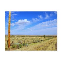 Hay Bales Postcard