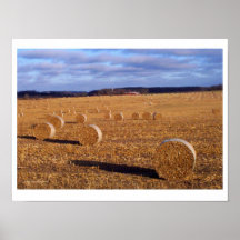 Hay Bales  print