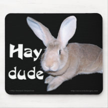 Hay Dude Mouse Pad