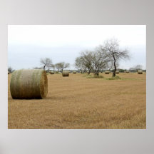 Hay harvest poster
