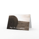 Hay!  It's your birthday... Cards