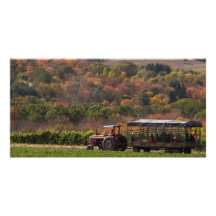 Hayride in October Custom Photo Card