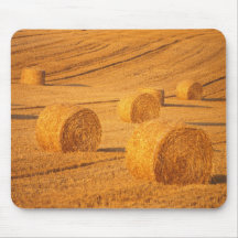 Hayrolls mousemat