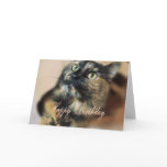HBD-Tazzie 9055 Greeting Cards
