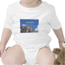 He is risen! tee shirts