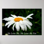 He Loves Me, He Loves Me Not Posters