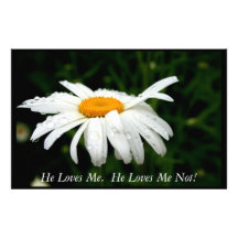 He Loves Me.  He Loves Me Not!  Stationery