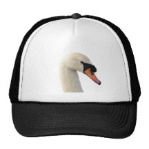 Head of Mute Swan Hat