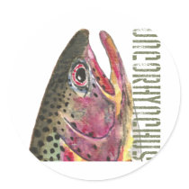 Head of Rainbow Trout Fish