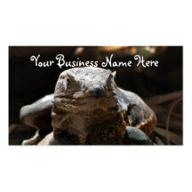 Head On Iguana; Promotional Business Card Template