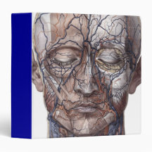 Head Veins and Muscles Binder