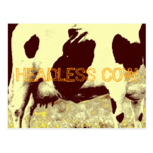 HEADLESS COW POST CARDS