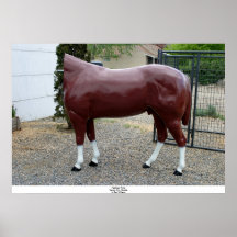 Headless Horse, Carson City, Nevada Posters