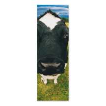 Headshot of Friesian Cow Business Card Templates