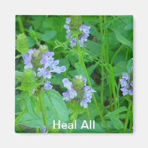 Heal All Magnet