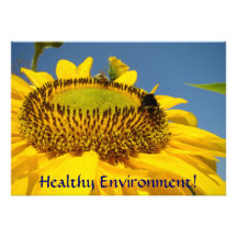 Healthy Environment! Event invitations Sunflowers