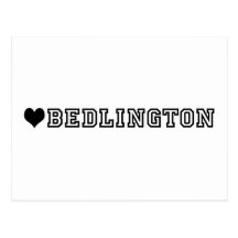 (heart) BEDLINGTON Postcard