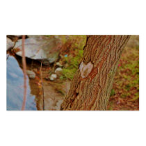 Heart Carved in Tree Business Card
