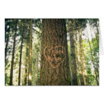Heart Carved into Tree Anniversary Card