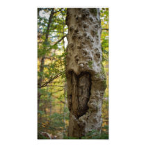 Heart Carved Tree Photographic Print