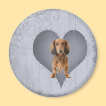 Heart Dachshund magnets