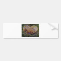 Heart Image Peachy Rose Bumper Sticker