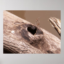 Heart Knothole Poster