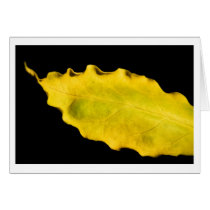 heart of a leaf cards